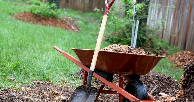 Mulching in the Fall